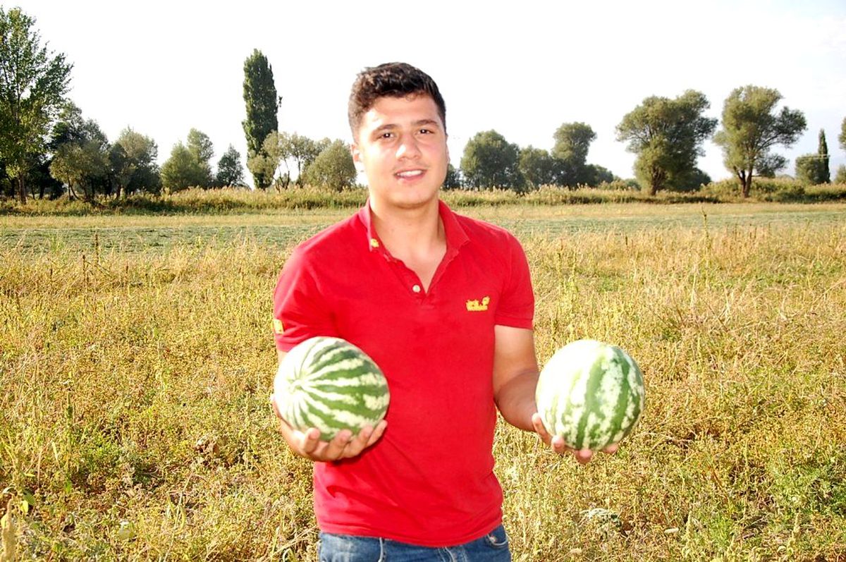 Güroymak\'ta yerli karpuz satışları başladı