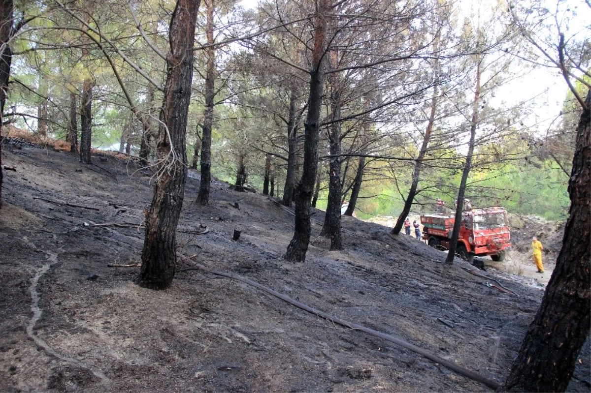 Kazdağları\'nda çıkan orman yangını söndürüldü