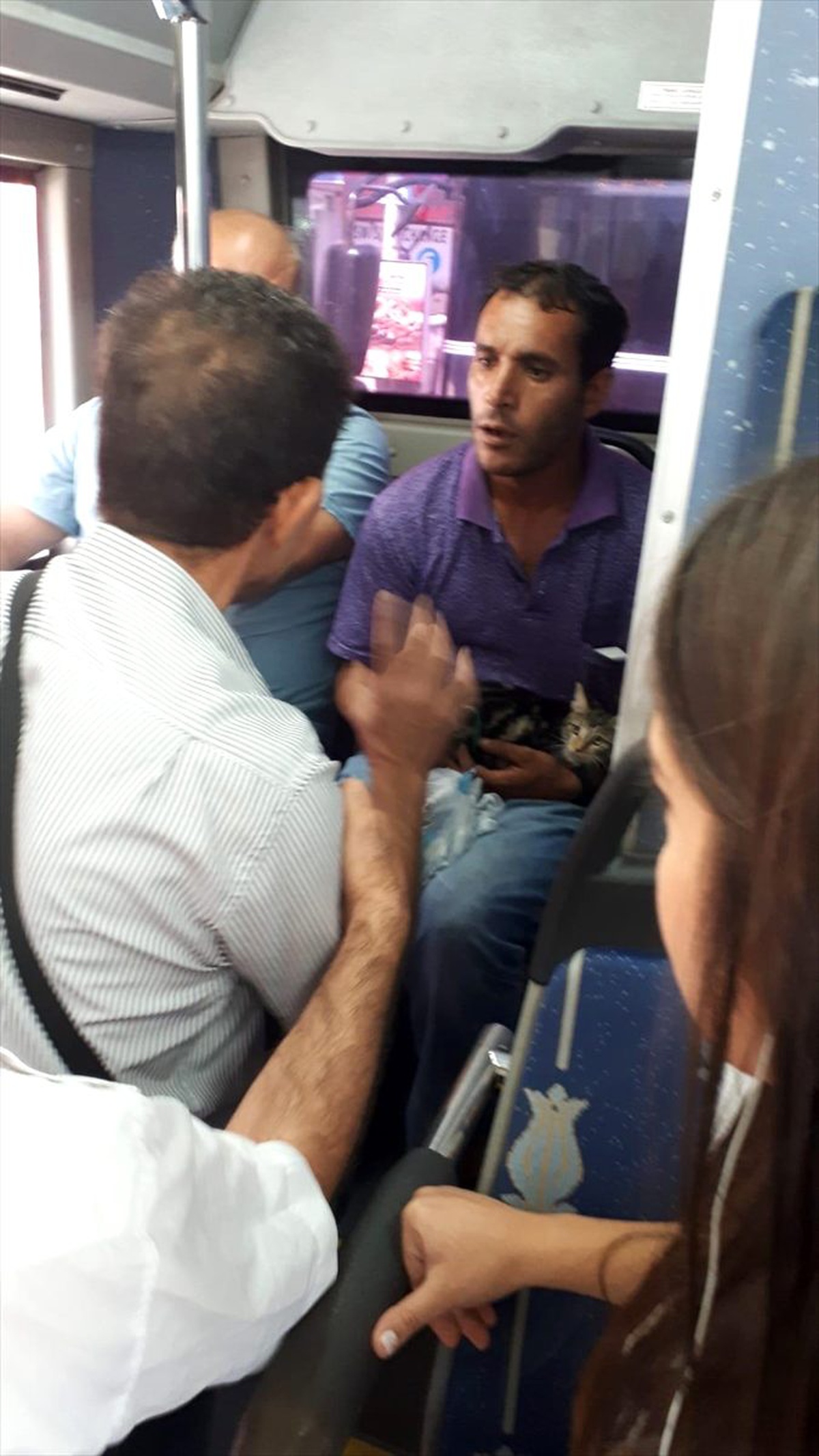 Kediyi kemerine bağlayan yolcu otobüsten indirildi