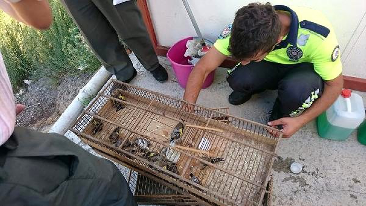 Koruma altındaki kuşları yakalayana 132 bin 416 tl ceza