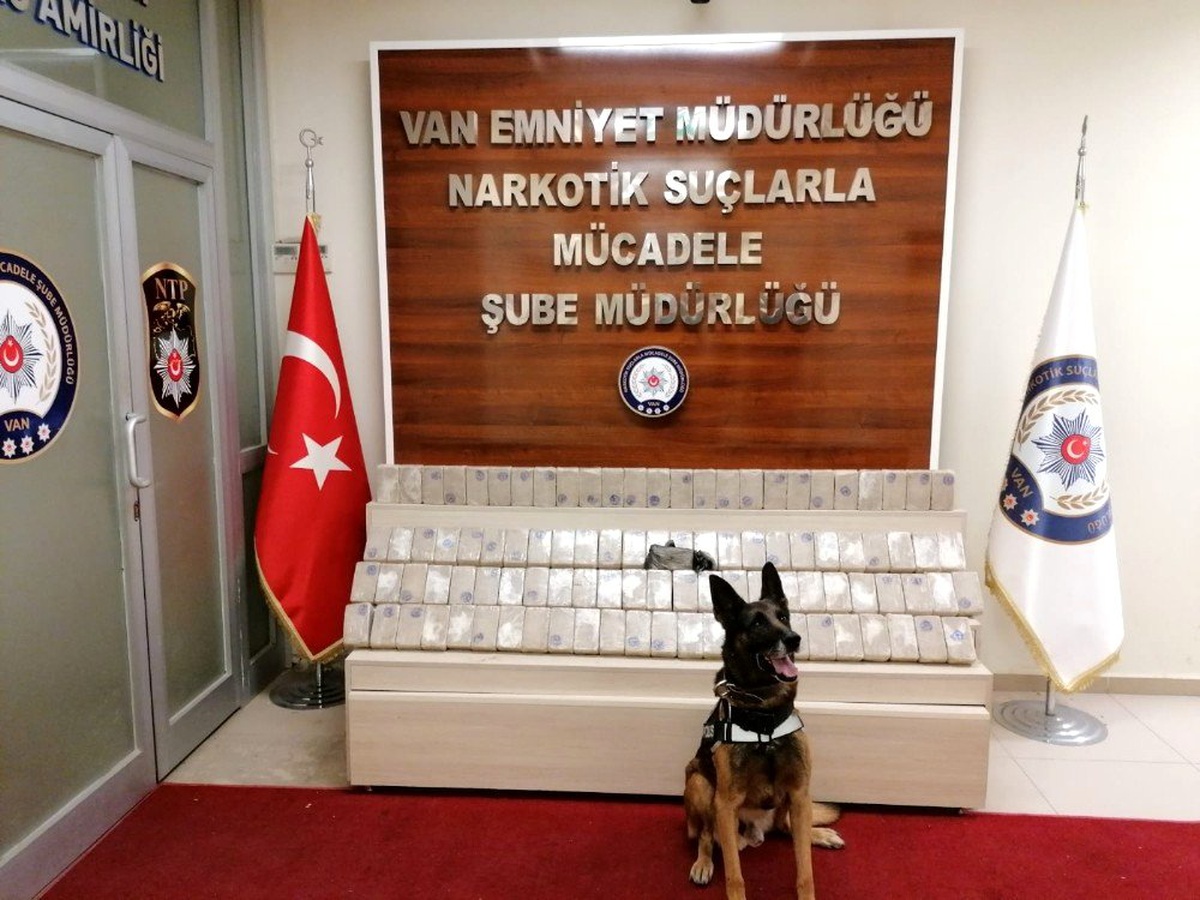 Minibüste gizlenen 50 kilo eroin narkotik köpeği \'Kara\'ya takıldı