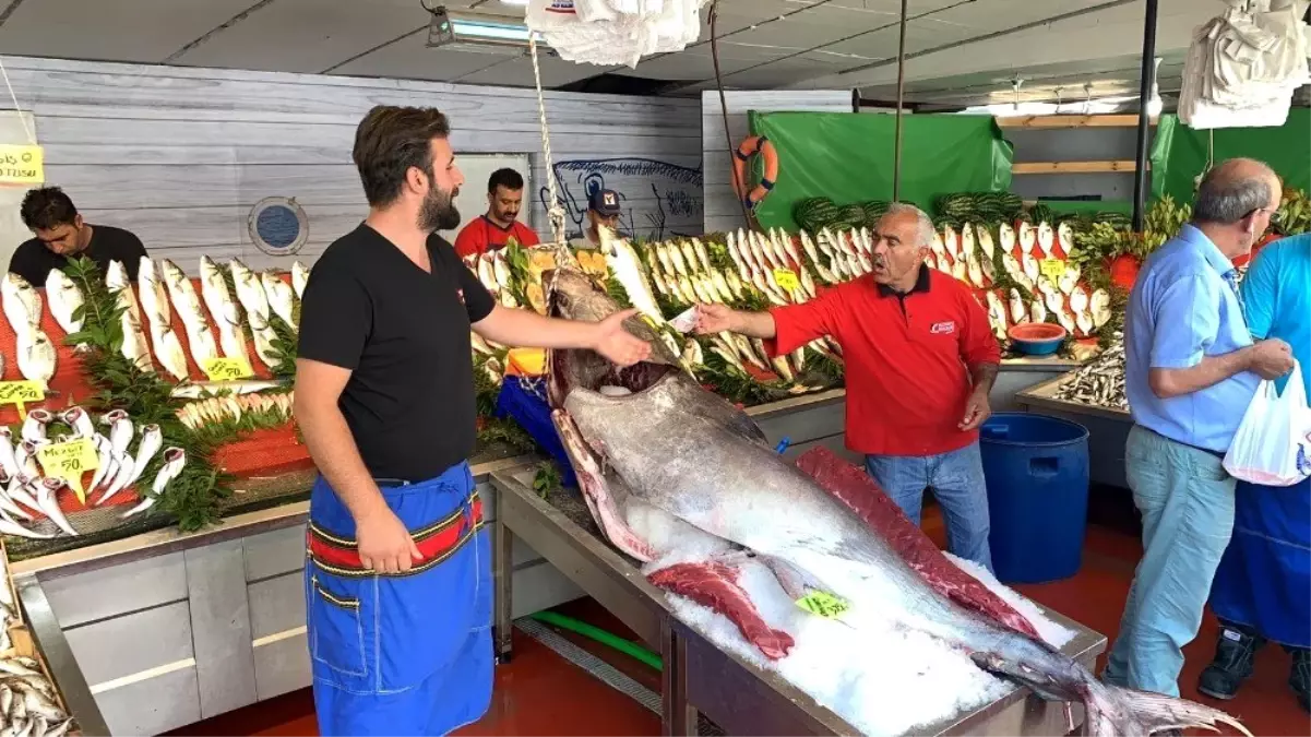 325 kiloluk dev orkinos görenleri hayrete düşürdü