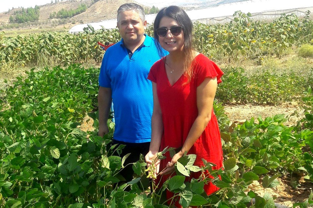 PAÜ\'de soya fasulyesiyle ilgili ön verim çalışmalarına başlandı