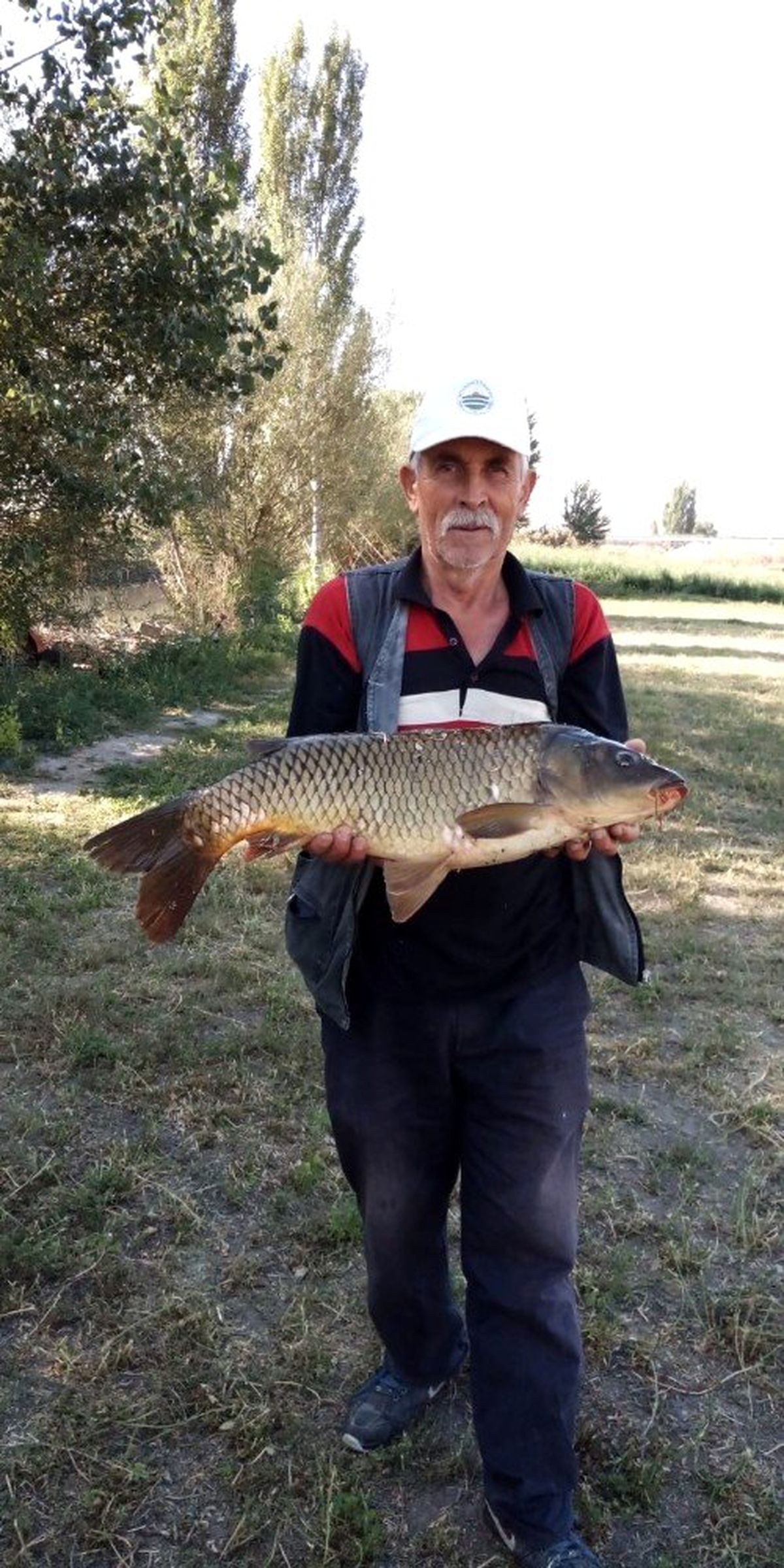 Porsuk\'ta balık bereketi