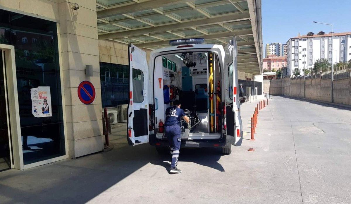 Siirt\'te ağaçtan düşen şahıs yaralandı