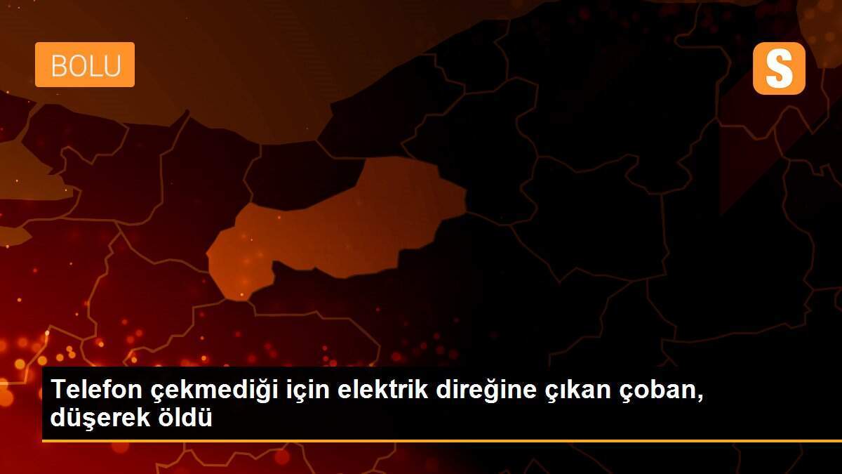 Telefon çekmediği için elektrik direğine çıkan çoban, düşerek öldü