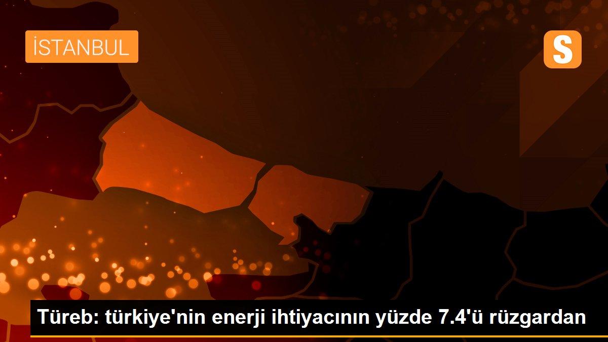 Türeb: türkiye\'nin enerji ihtiyacının yüzde 7.4\'ü rüzgardan