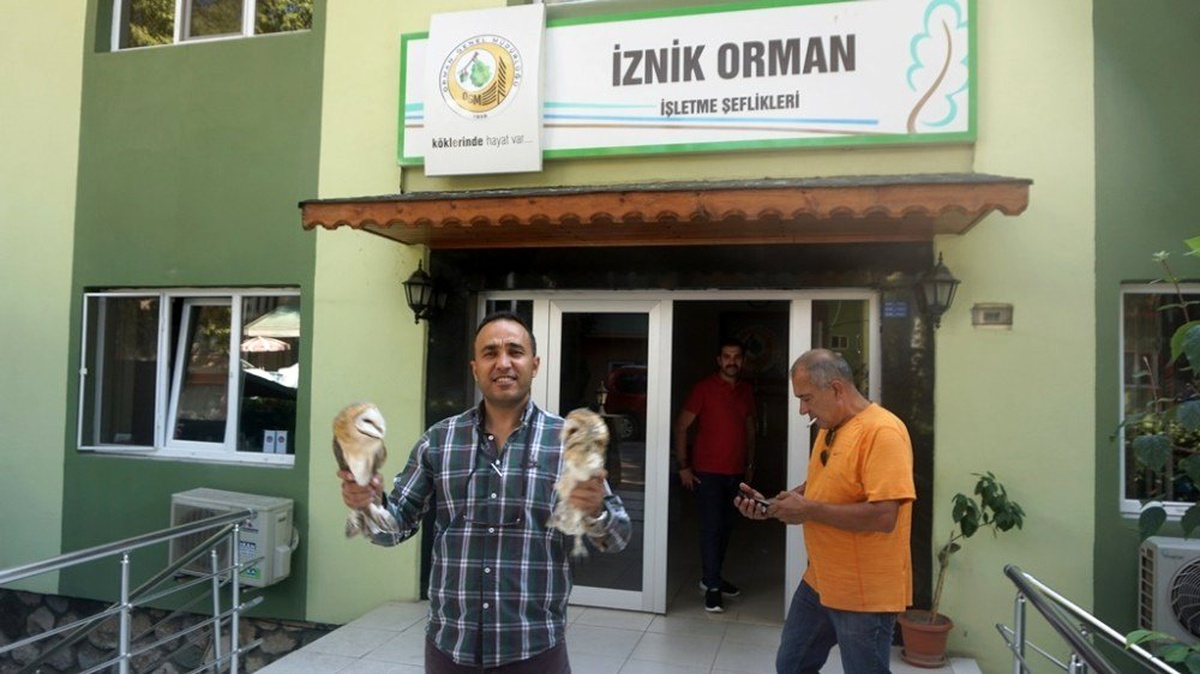 Yaralı 2 peçeli baykuş tedaviye gönderildi