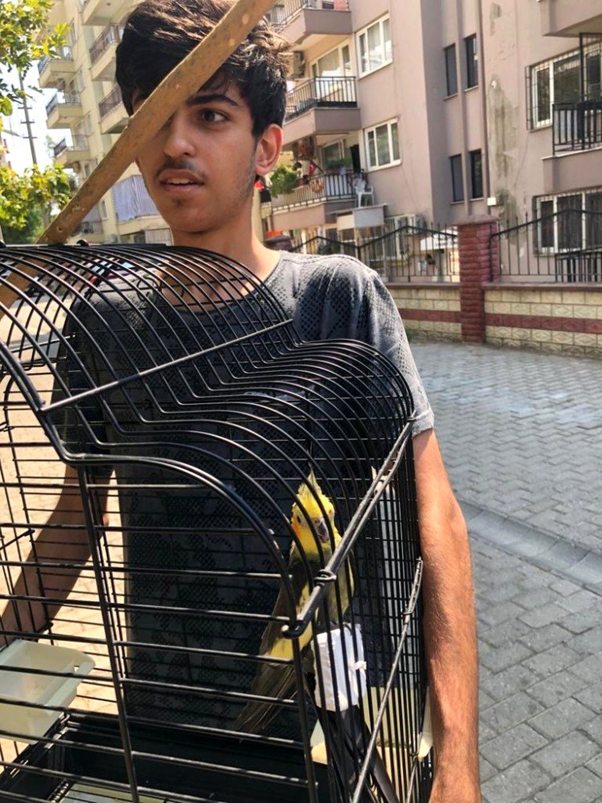 Aydın itfaiyesinden papağan operasyonu