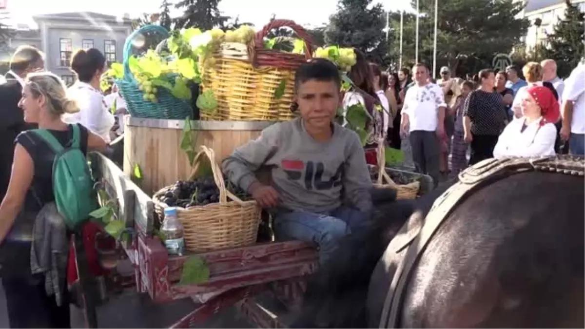 "Bağ Bozumu Şenlikleri" başladı