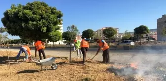 Bulvarların ve refüjlerin bakımları yapılıyor