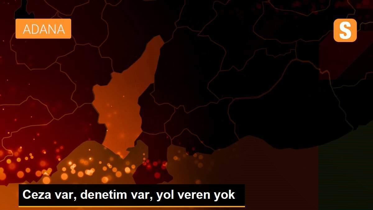 Ceza var, denetim var, yol veren yok