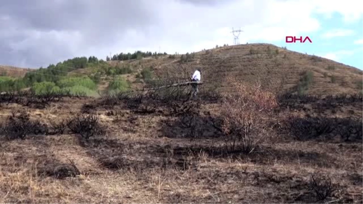 Erzincan erzincanlı prof. orman yangınlarına ilginç bir eylemle dikkat çekti