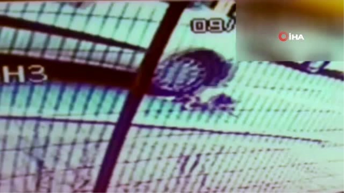 Esenyurt\'ta arabanın ezdiği minik Zeynep\'in ölümden inanılmaz kurtuluşu kamerada