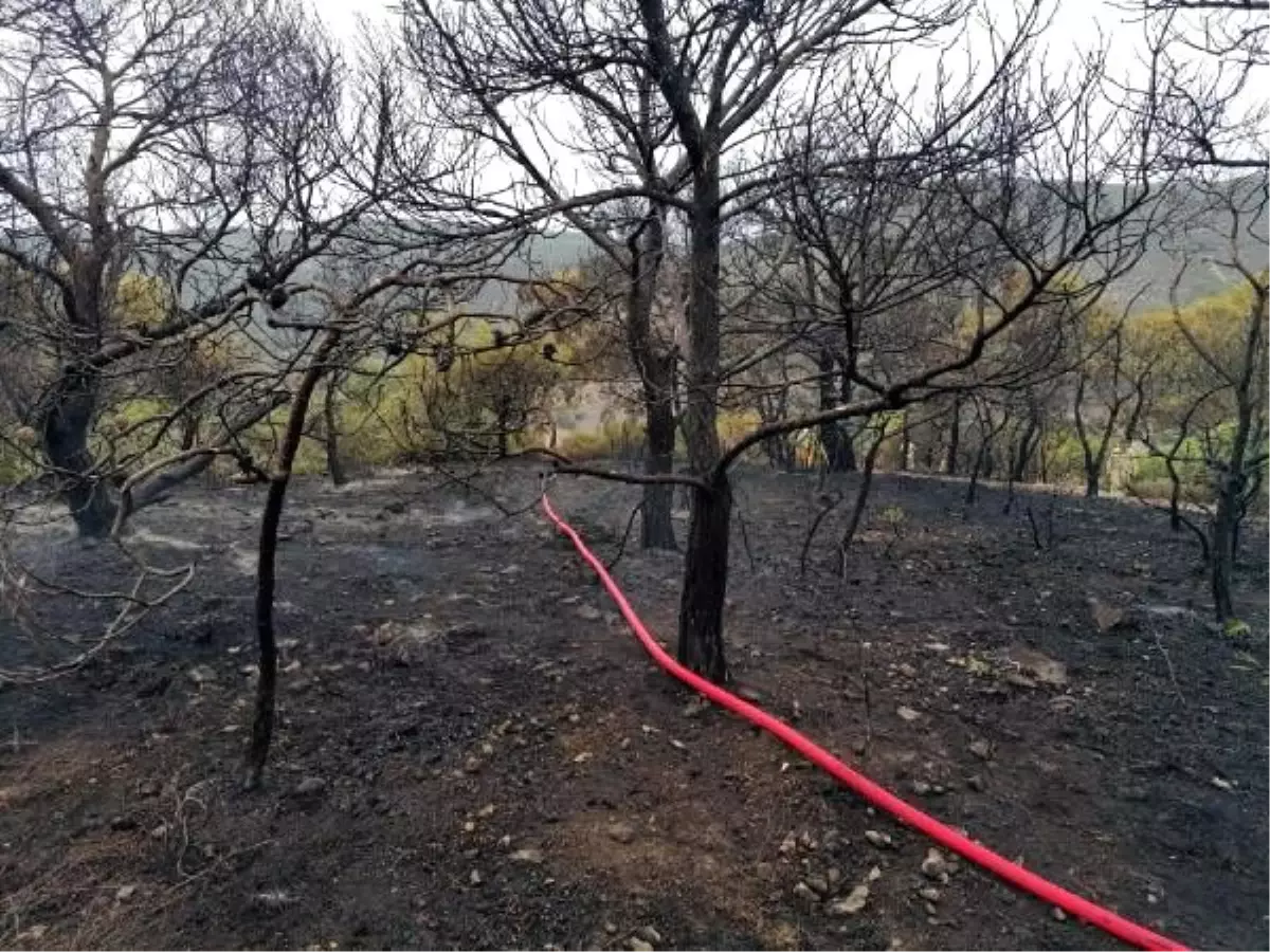 Foça\'da yıldırım yangınları