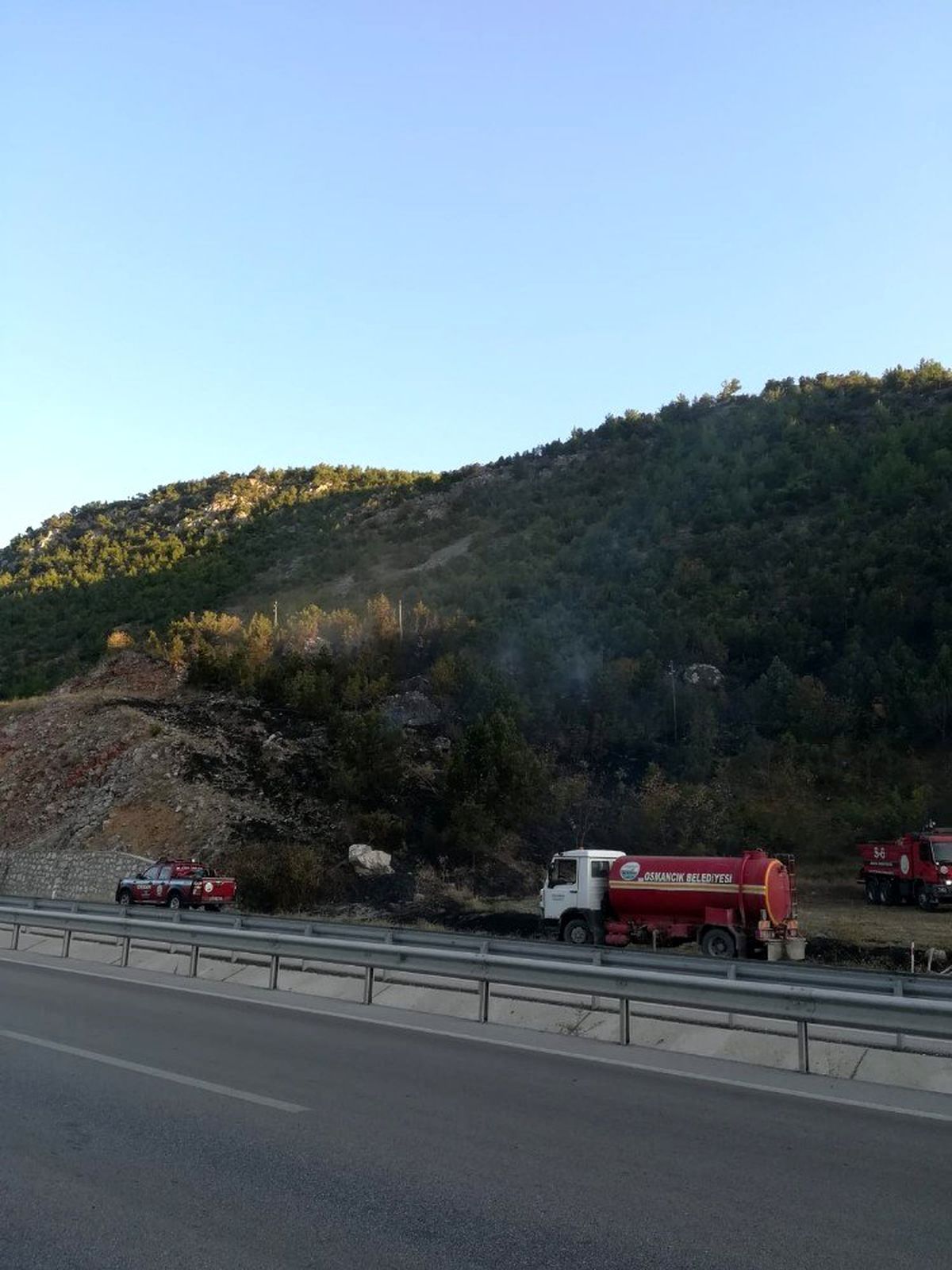 Kargı\'da orman yangını