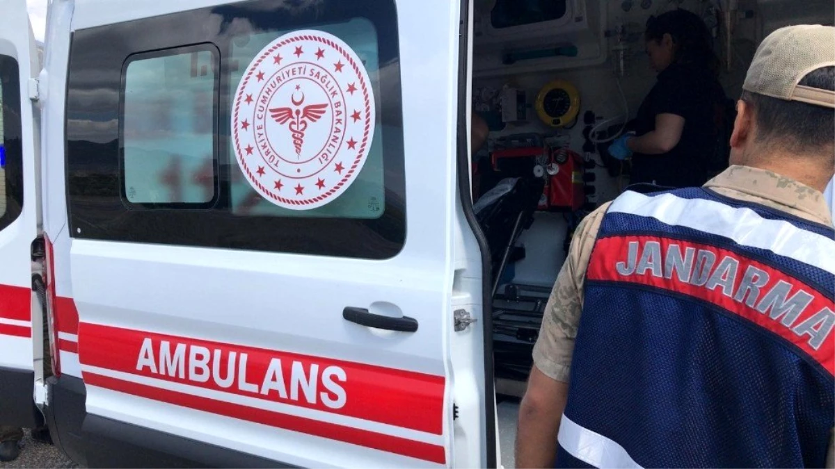 Kayıp Emin dedeyi bulan jandarma ve AFAD, ambulansa kadar sırtında taşıdı