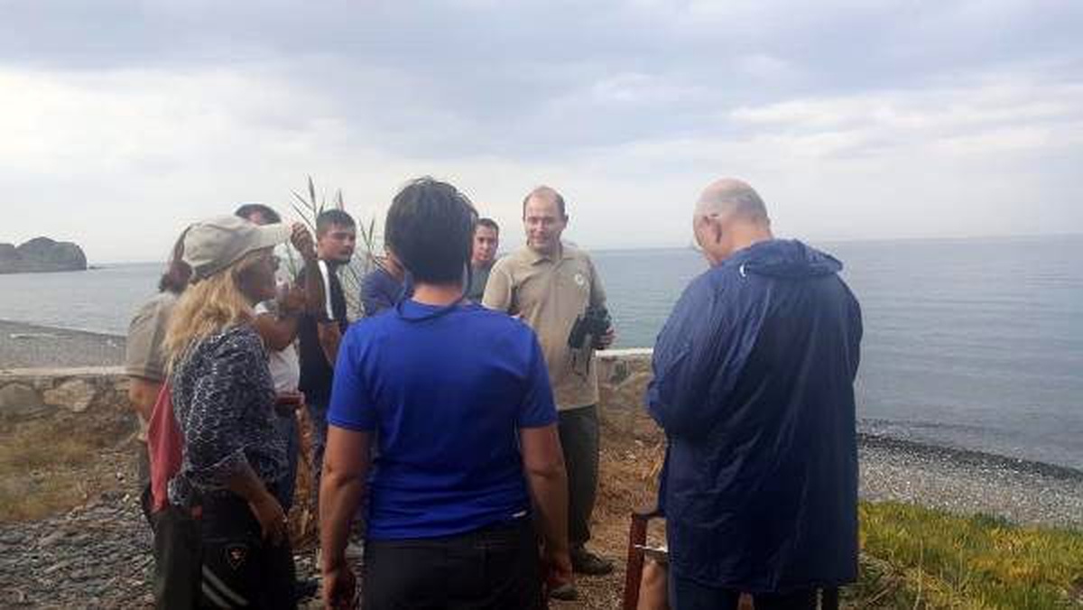Kıyıya vuran yaralı akdeniz fokunun tedavi edilmesini istediler (2)