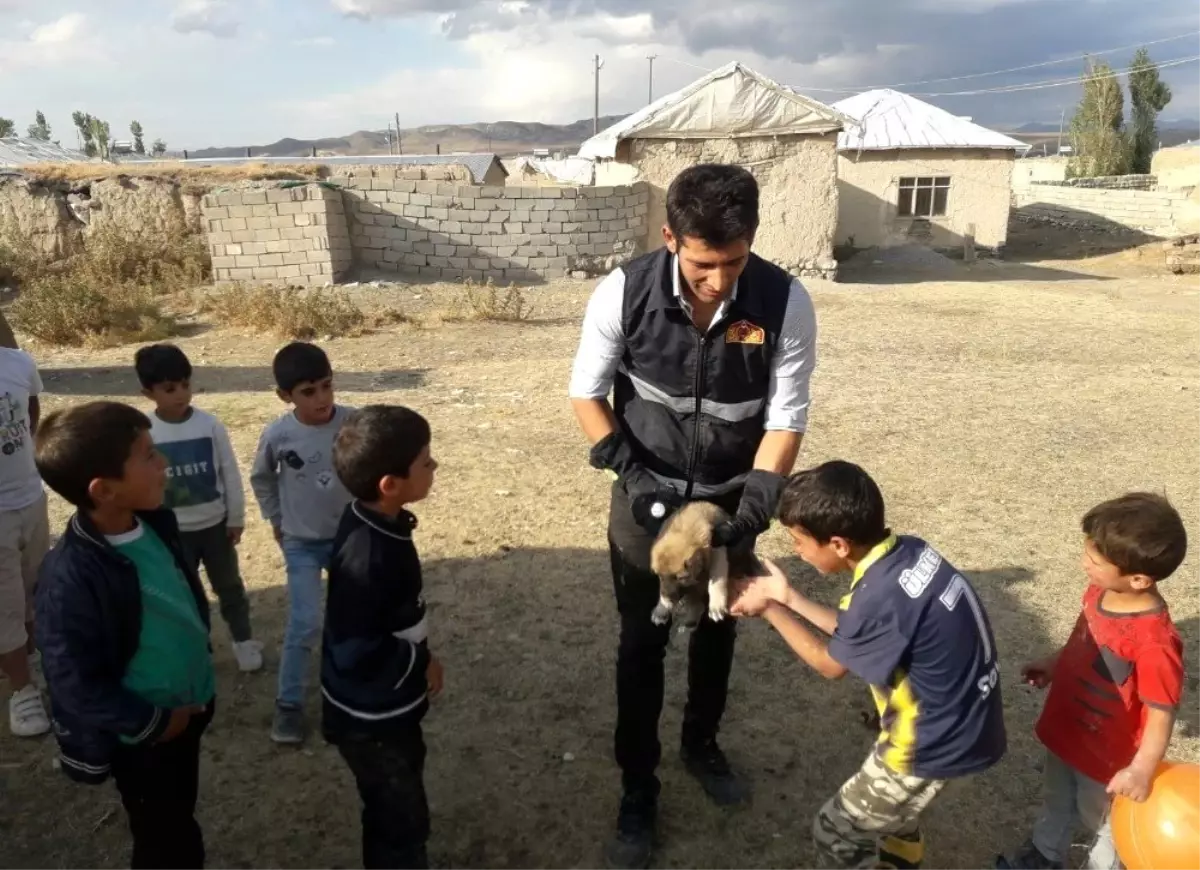 Kuyuda mahsur kalan yavru köpekler kurtarıldı