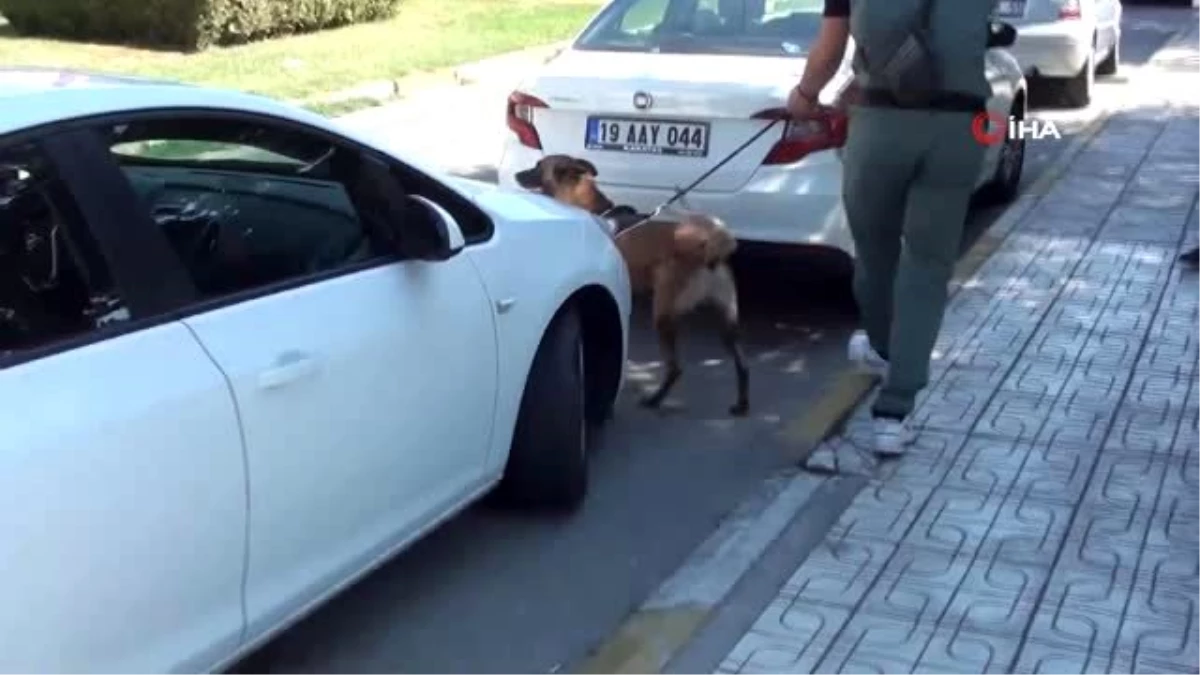 Narkotimlerden okul önlerinde sıkı denetim