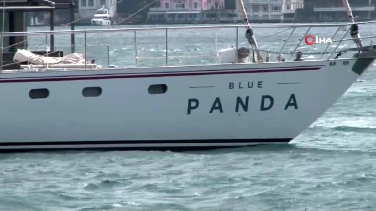 Plastik kirliliğine karşı yola çıkan Blue Panda İstanbul\'da