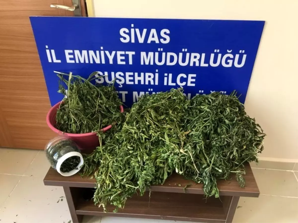 Suşehri\'nde uyuşturucu operasyonu