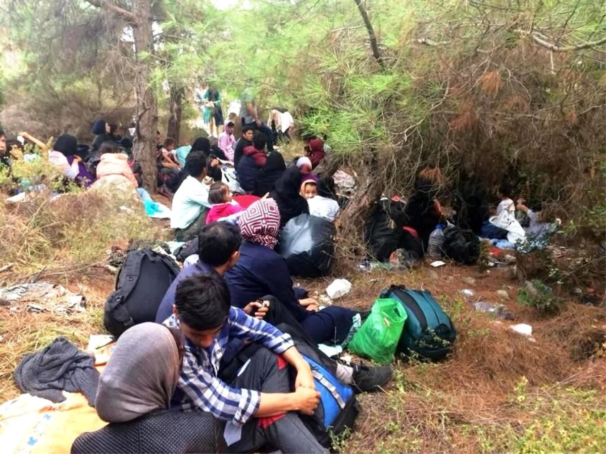 Ayvalık\'ta 48 göçmen ve 3 organizatör yakalandı
