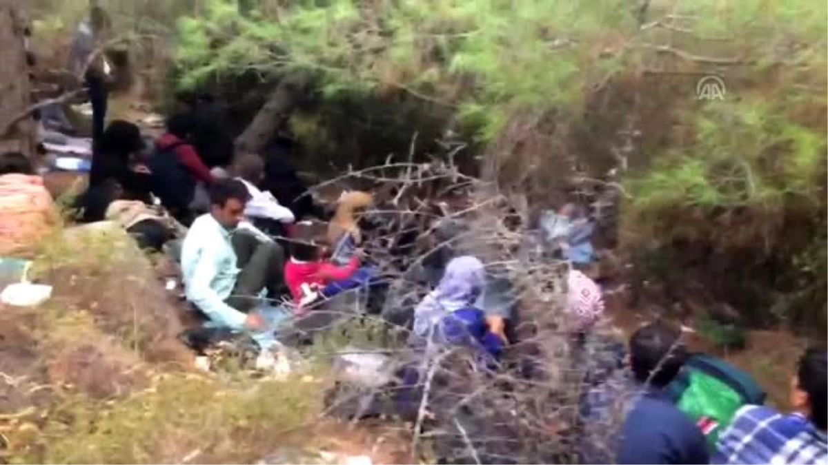 Balıkesir\'de 48 düzensiz göçmen yakalandı