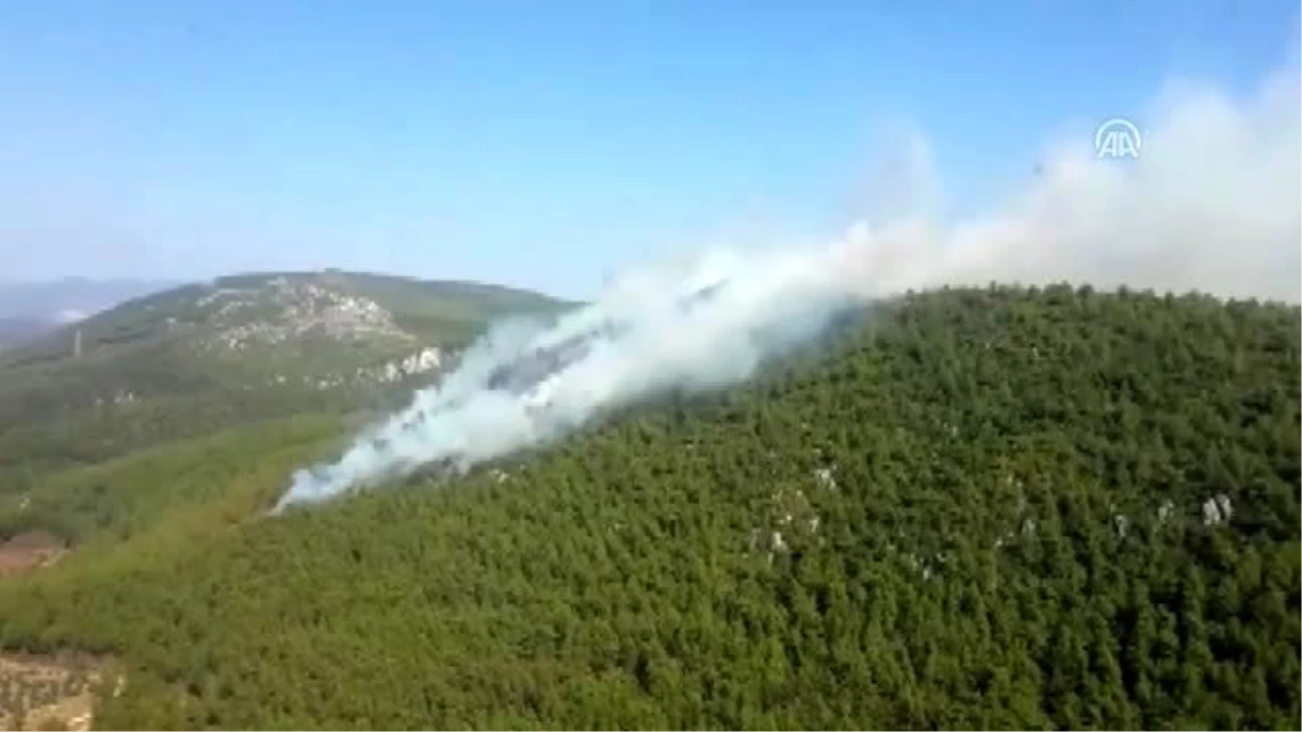 Bodrum\'da orman yangını (1)