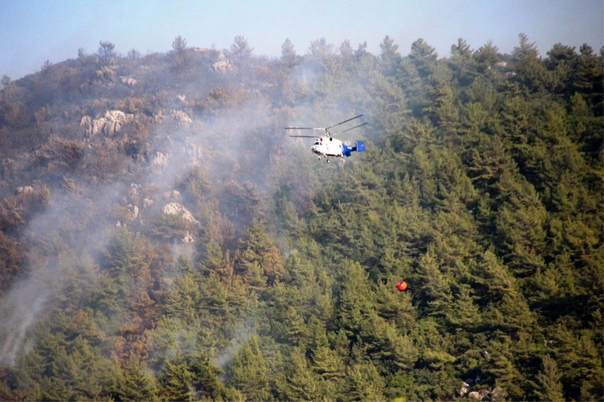 Bodrum\'daki orman yangını güçlükle kontrol altına aldı