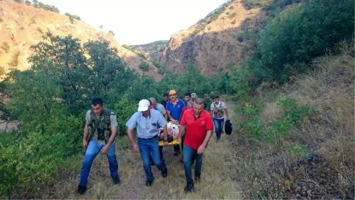 Ceviz ağacından düşen kişi için ekipler seferber oldu