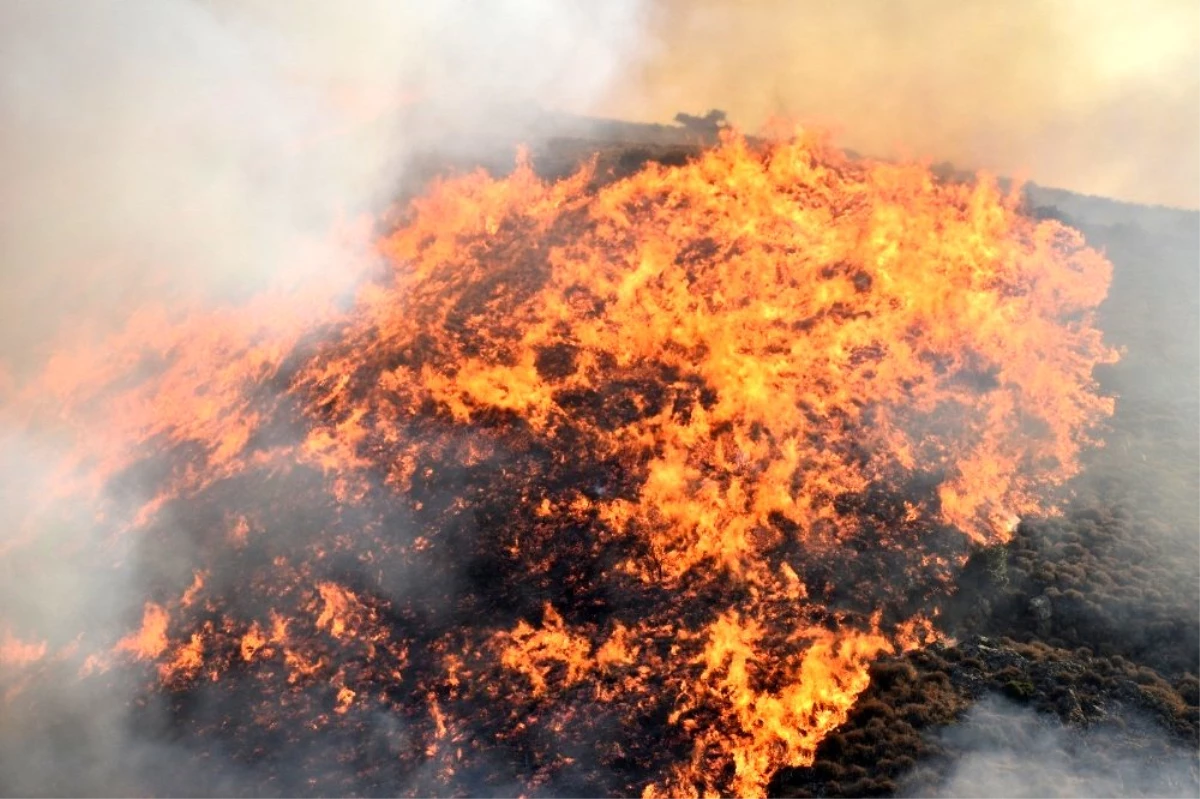 İzmir\'de 2 ilçede orman yangını