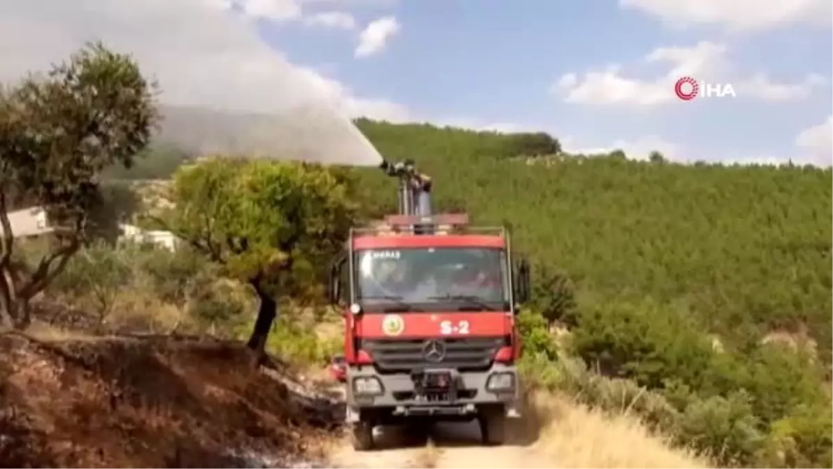 Kahramanmaraş\'ta yangın: 5 hektarlık zeytinlik alan zarar gördü