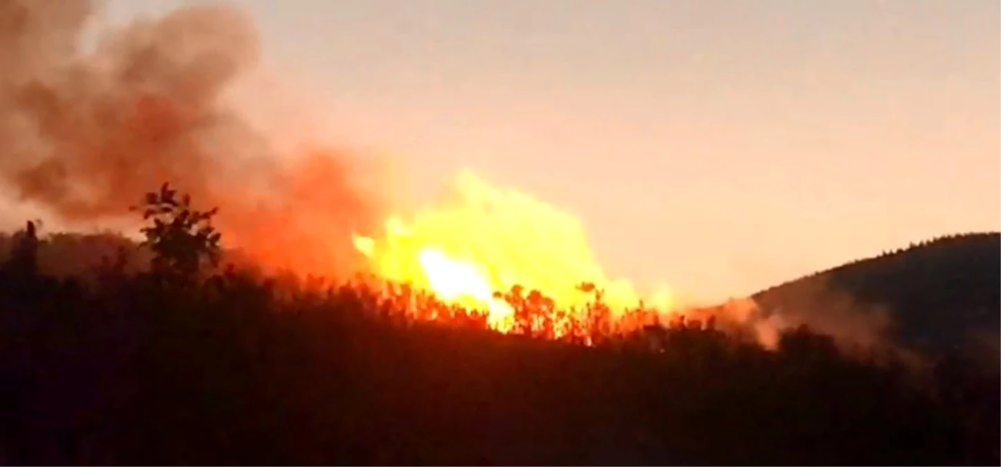 Kepsut\'ta 10 hektar bozuk meşelik alan yandı