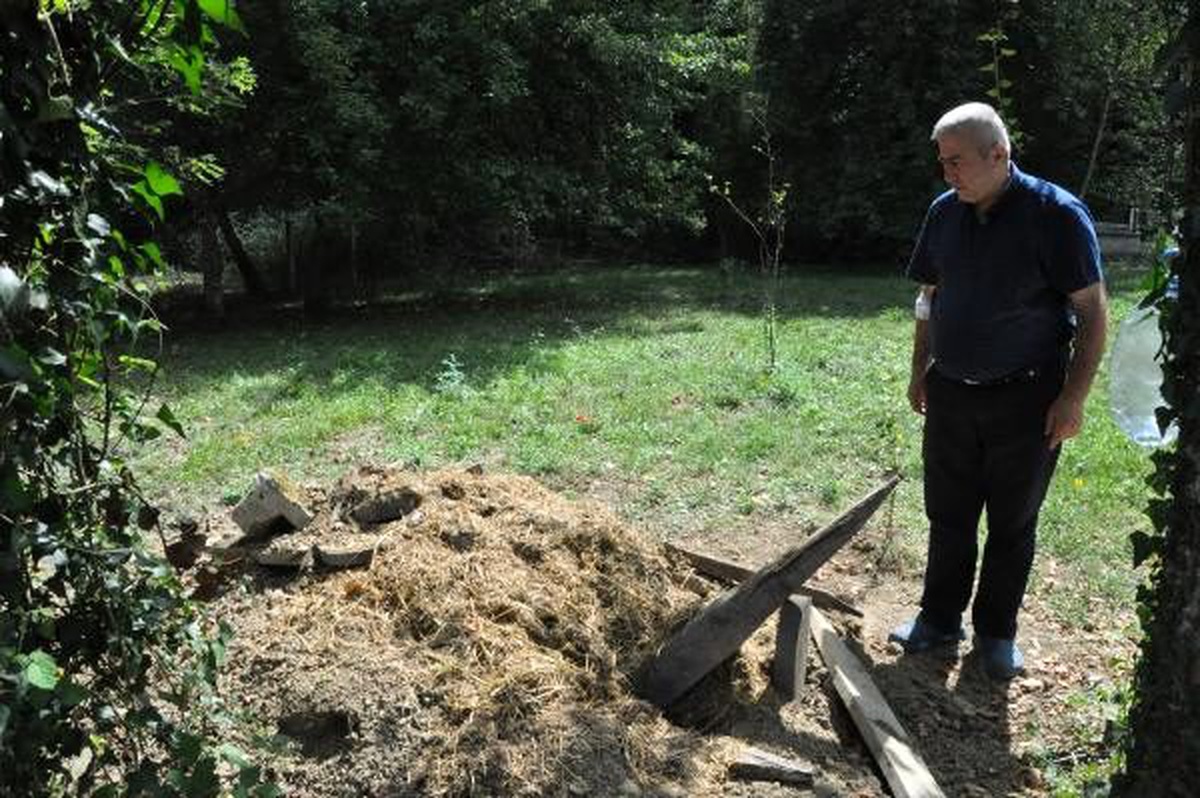 Mezar kazılınca fotokapan kuruldu, çakallar görüntülendi
