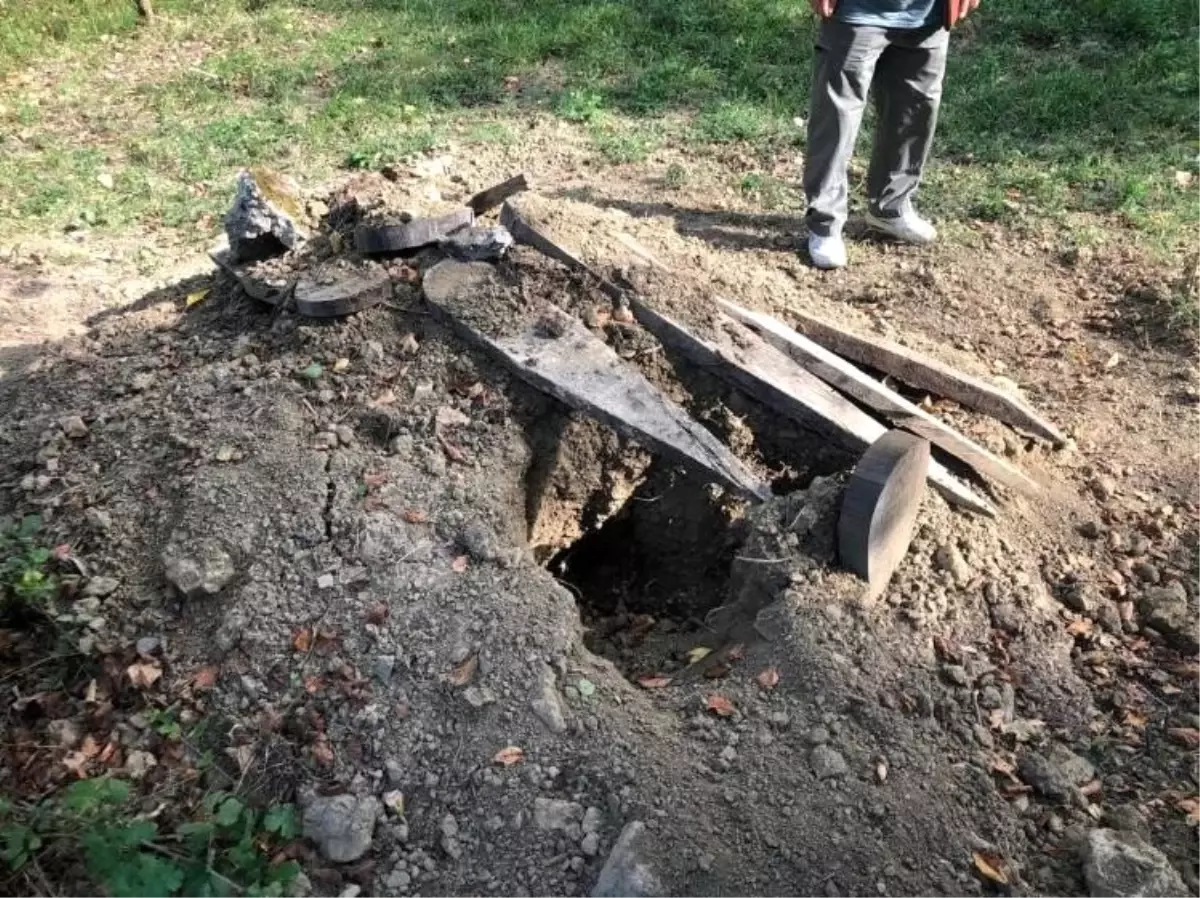 Mezarlıktaki fotokapana çakal ve yavruları takıldı