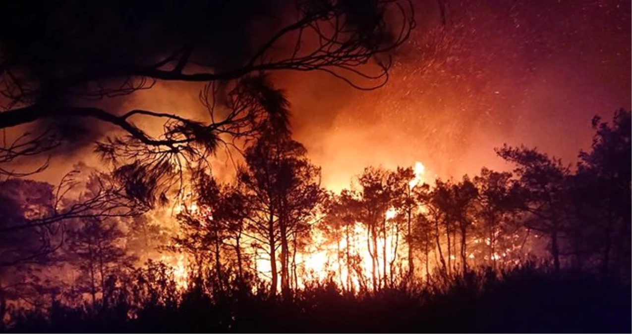 Ortaca\'da çıkan orman yangınına 9 helikopterle müdahale ediliyor