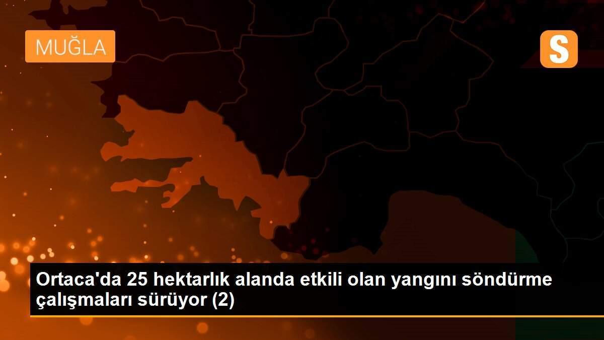 Ortaca\'da 25 hektarlık alanda etkili olan yangını söndürme çalışmaları sürüyor (2)