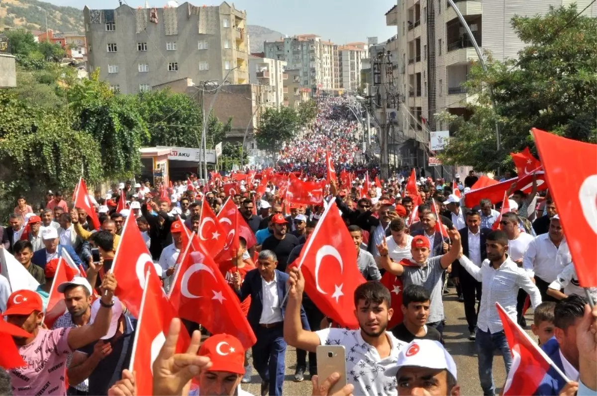 Şırnak\'ta terör lanetlendi