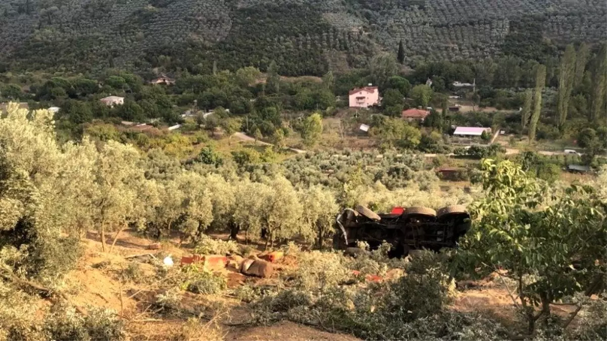 100 tonluk vinç zeytinliğe yuvarlandı