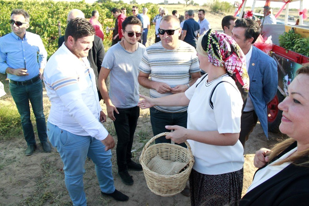 Bağ bozumuna davullu zurnalı kutlama