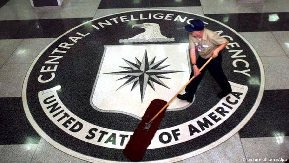 CIA casusluk için kedi, kuş ve yunus eğitti