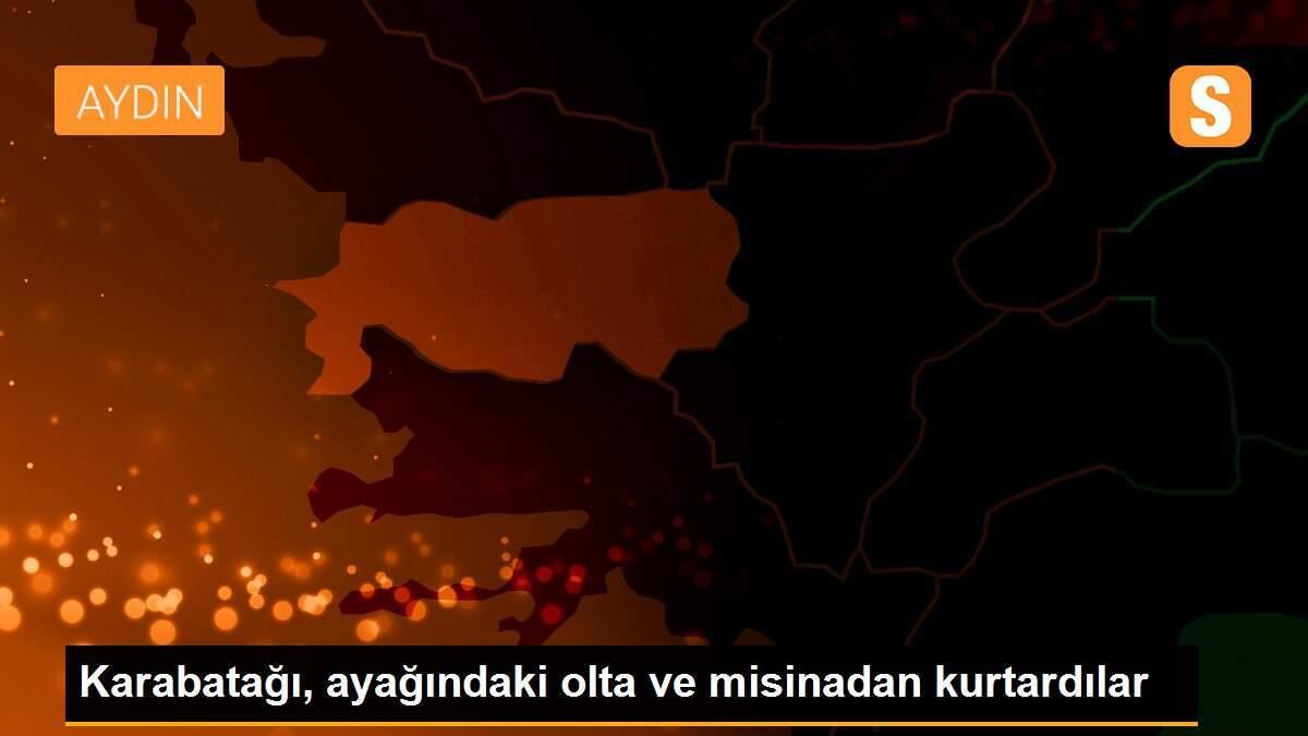 Karabatağı, ayağındaki olta ve misinadan kurtardılar