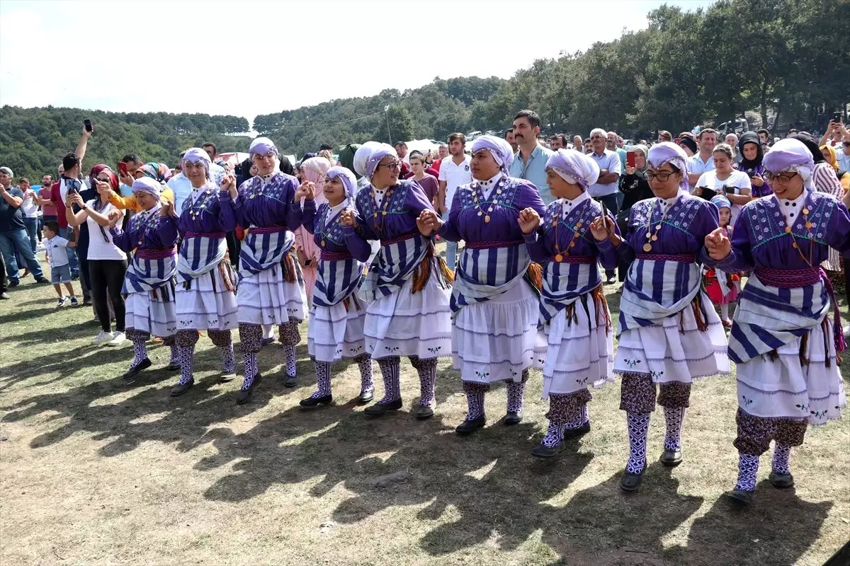 Sakarya\'da yayla şenliği