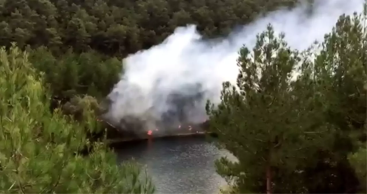 Sorumsuz piknikçiler yangın çıkardı