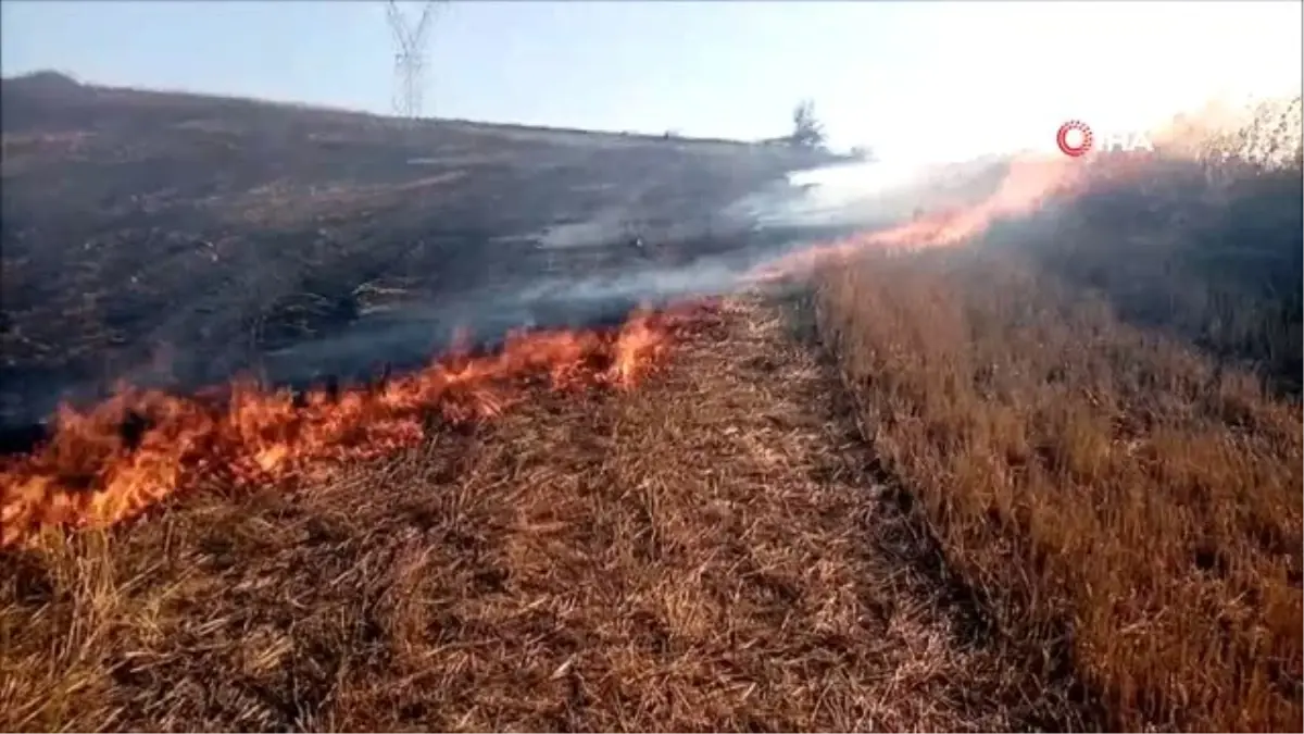 Tekirdağ\'da korkutan anız yangını