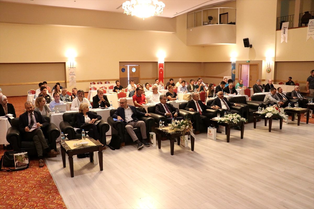 "20 milyona yakın fidanı toprakla buluşturduk"