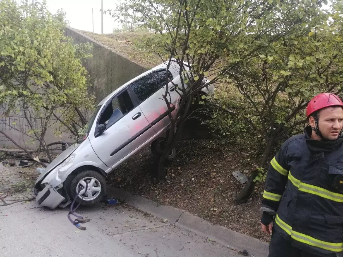 Alkollü sürücünün kontrolünden çıkan otomobil ağaca asılı kaldı