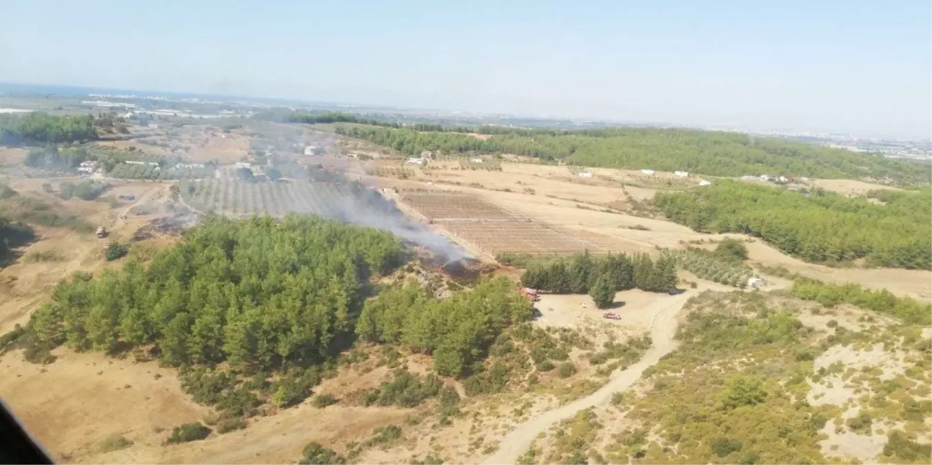 Arap Beleni\'nde çıkan yangın, ormana ulaşmadan söndürüldü