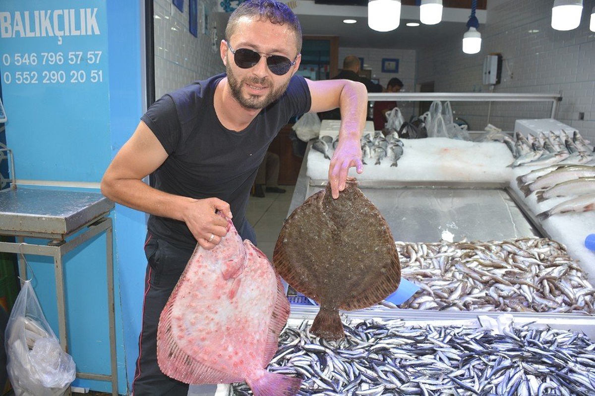 Balıkçıların yüzü kalkan balıklarıyla güldü